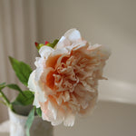 img-2|d4192b5c