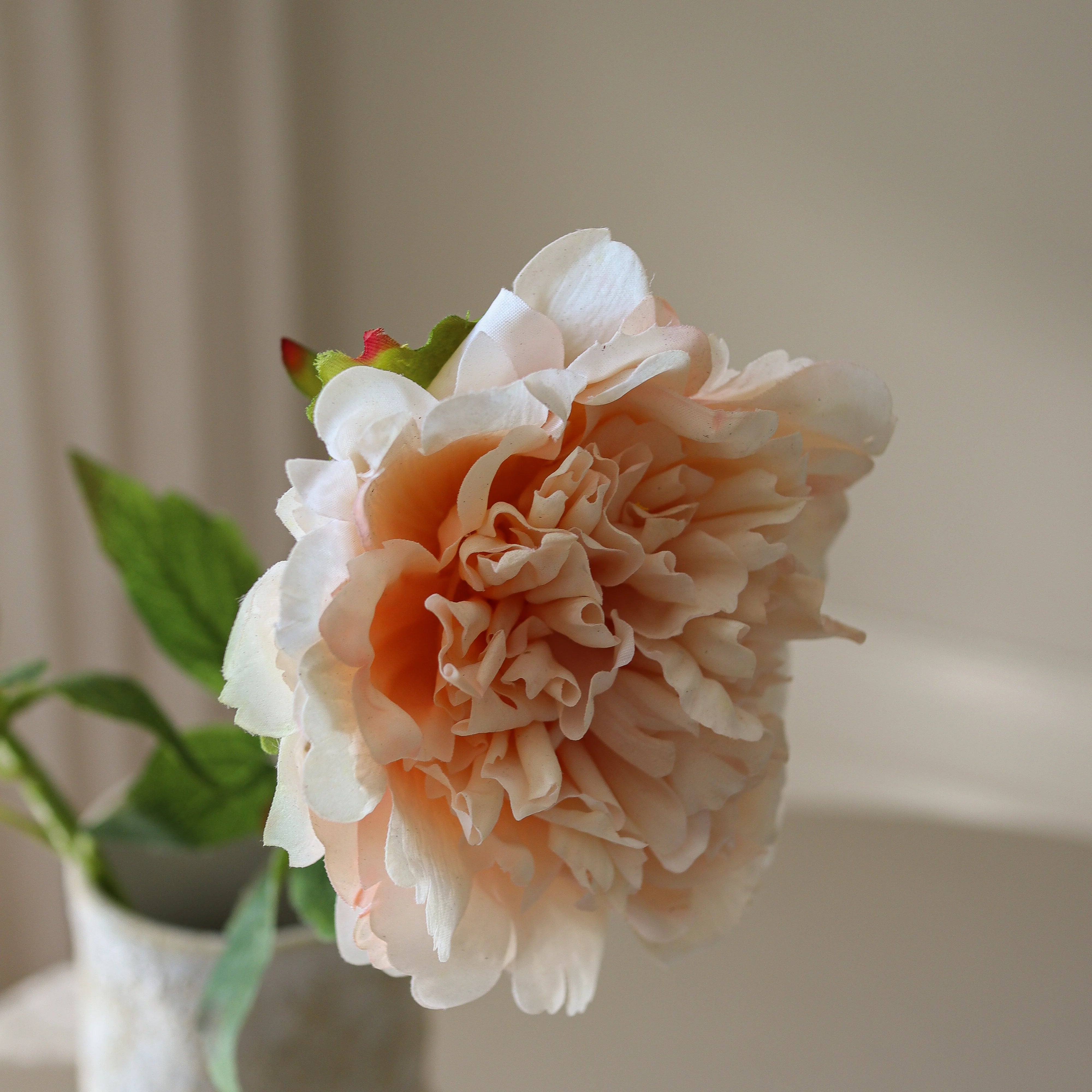 img-2|d4192b5c