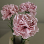 img-2|18829555
