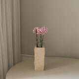 img-3|7f9be30a