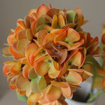 img-2|7dbf8632