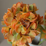 img-2|7dbf8632