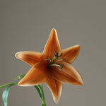 img-2|751718bc