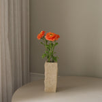 img-3|fc164903
