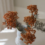 img-2|645d5203