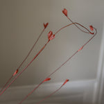 img-2|5047810e