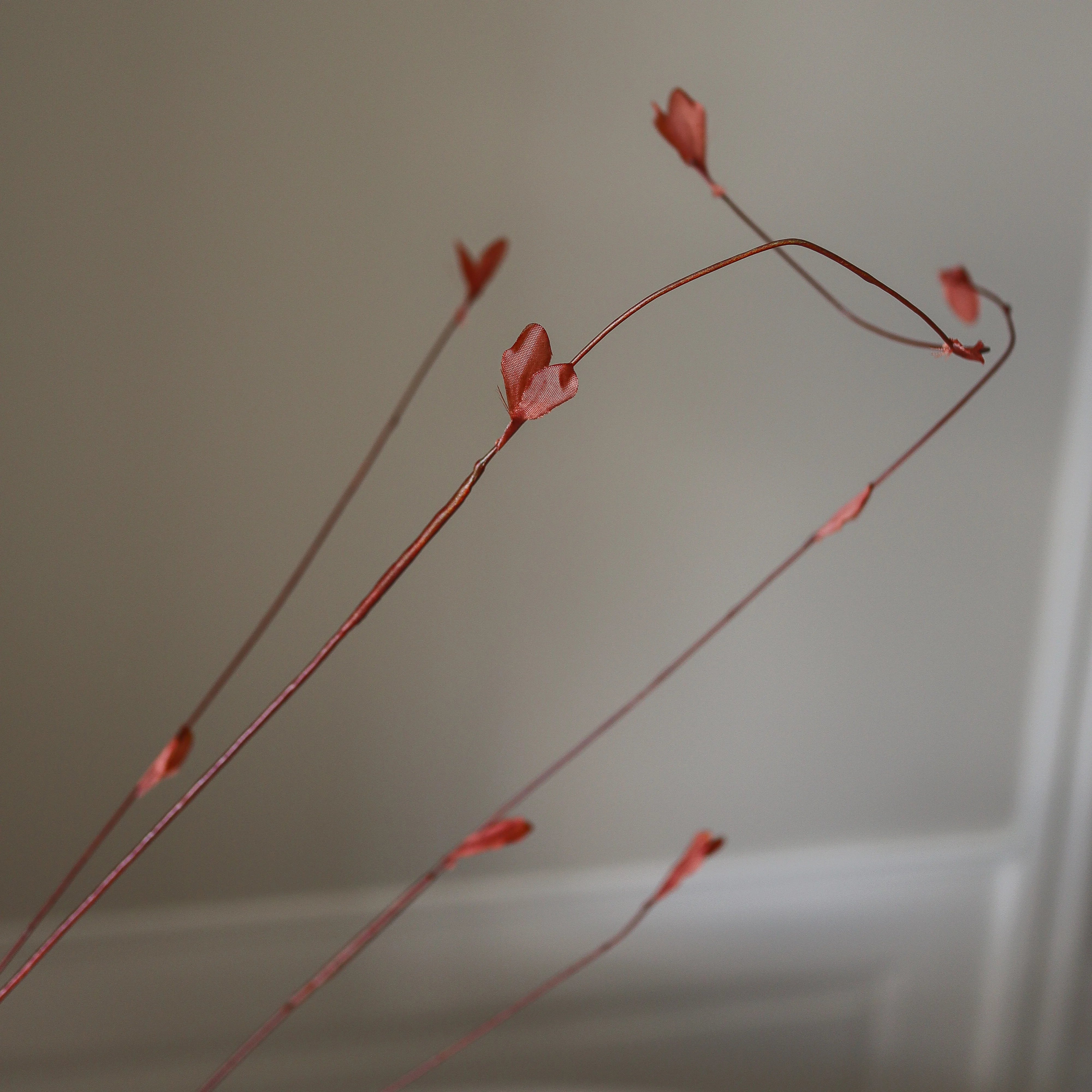 img-2|5047810e