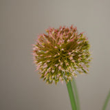 img-2|2d9d9cd2
