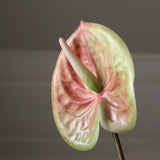 img-2|786244ef