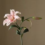 img-2|ee8b7523