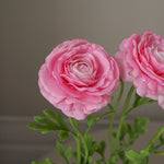 img-2|7366f48e