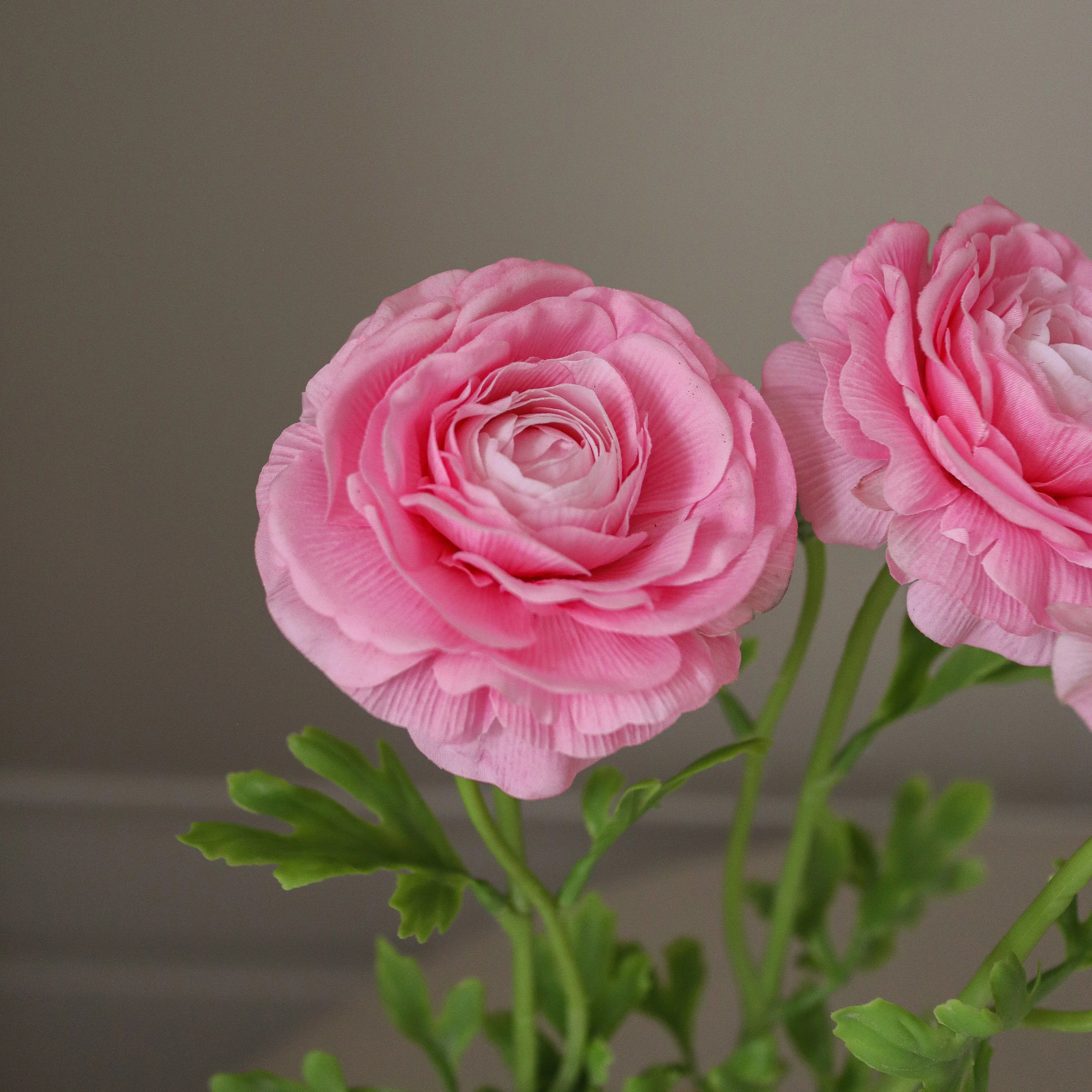 img-2|7366f48e