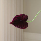 img-2|a3d83b59