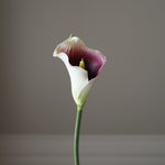 img-2|4f1b9a9c