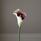 img-2|4f1b9a9c