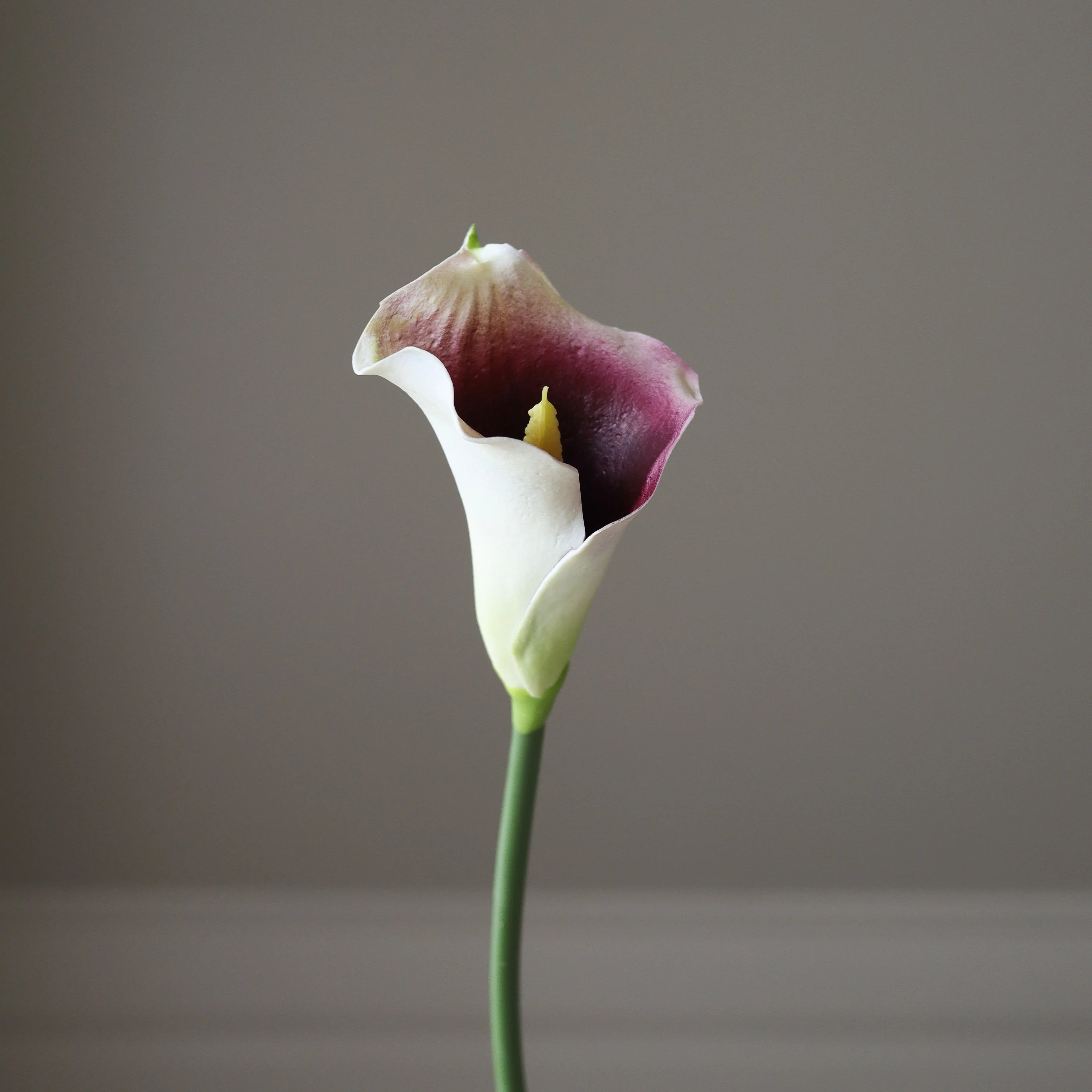 img-2|4f1b9a9c