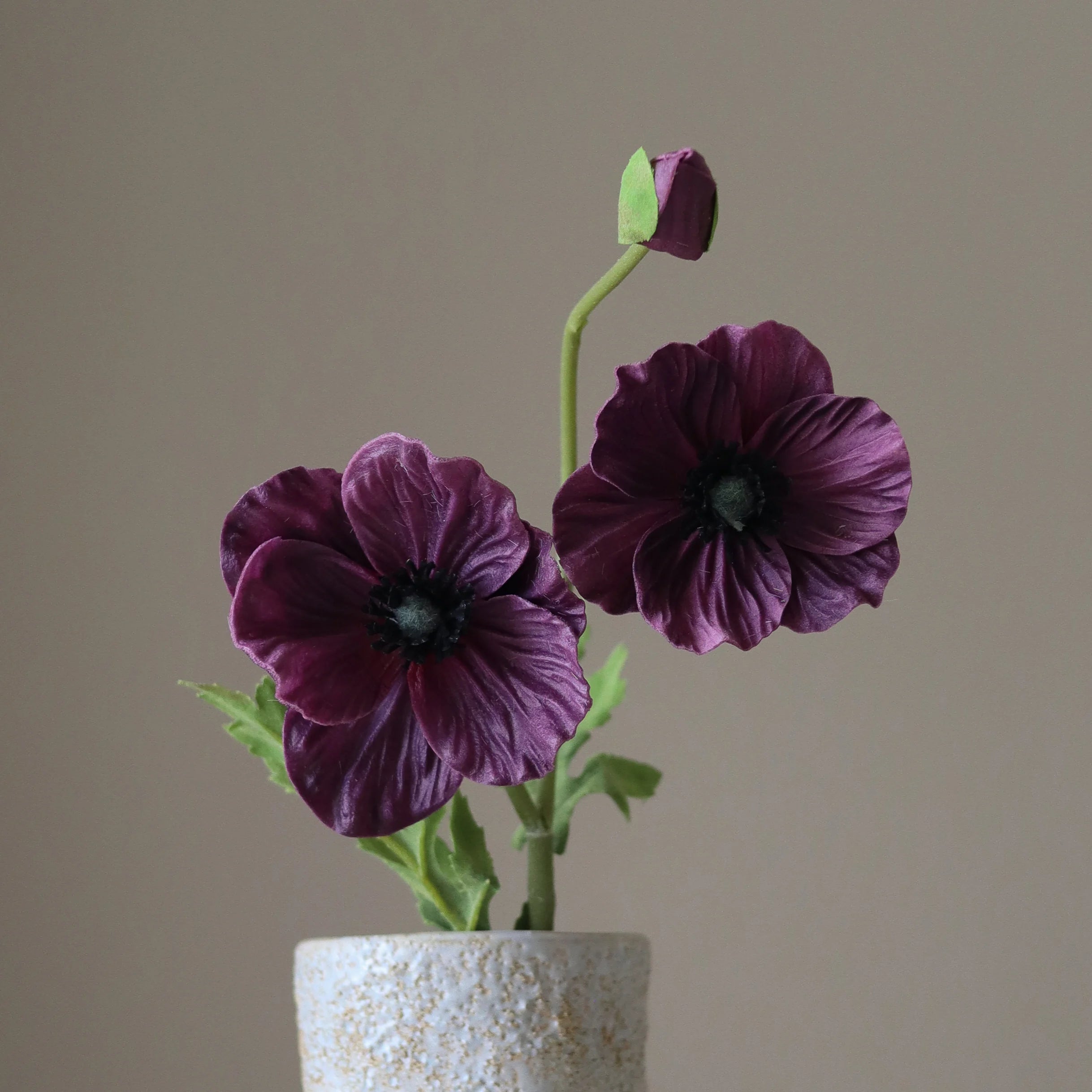 img-2|8a75d0bd
