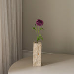img-1|930e555e