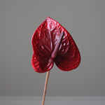 img-2|e59288a9
