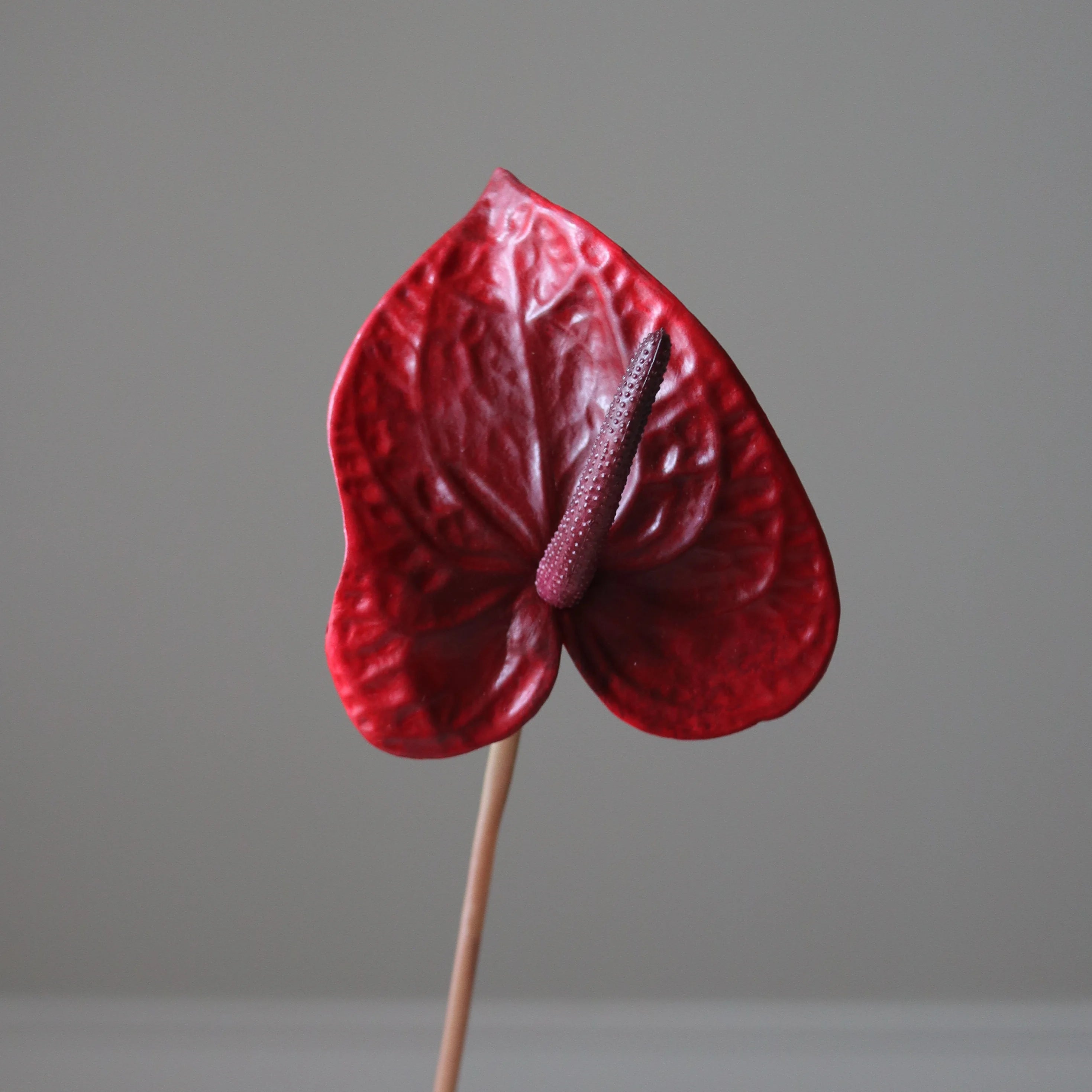 img-2|e59288a9