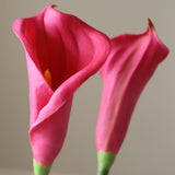 img-2|222679e8