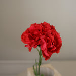img-2|f1a611a5
