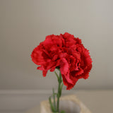 img-2|f1a611a5