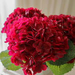 img-2|e02846ca