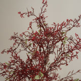 img-2|868faf9b