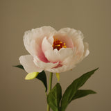 img-2|63e8f399