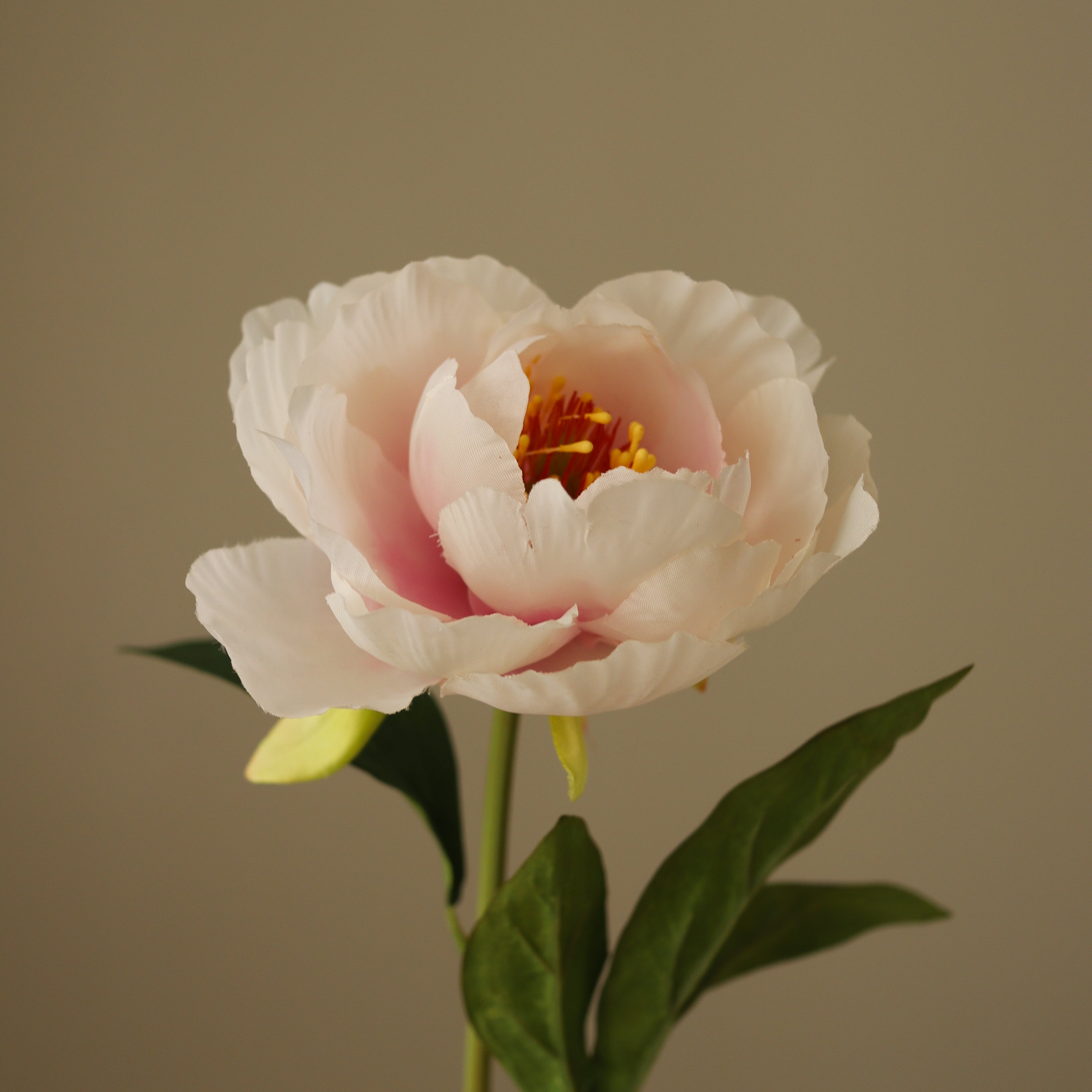 img-2|63e8f399