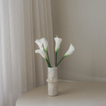 img-3|6045f7c6