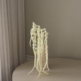 img-3|f77dba01