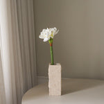 img-1|9f3ae735