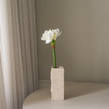 img-1|9f3ae735