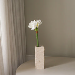 img-1|9f3ae735