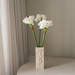img-3|50e583ae