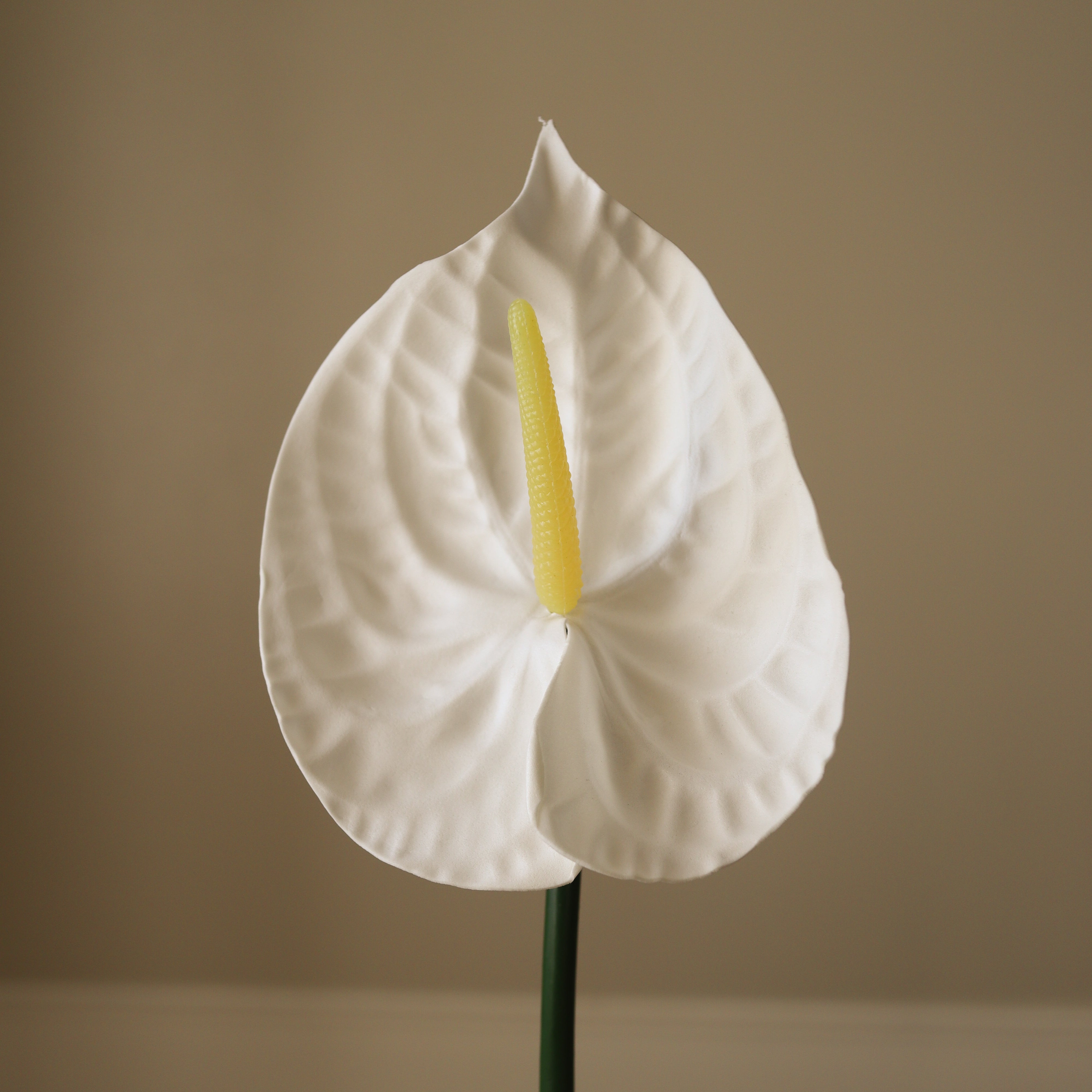 img-2|82b8867f