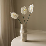 img-3|3bd77324