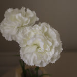 img-2|4bf22ff4