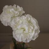 img-2|4bf22ff4
