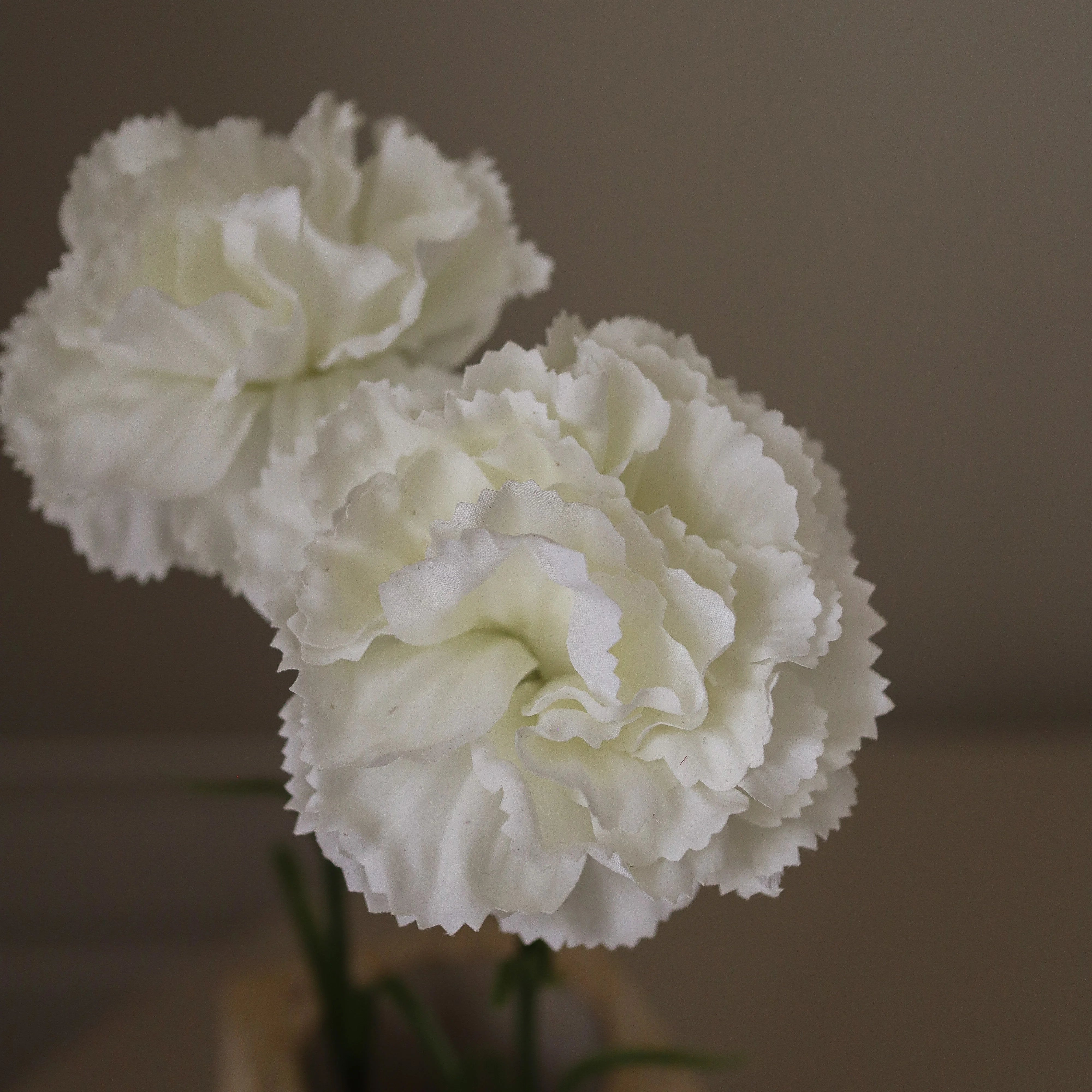 img-2|4bf22ff4