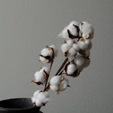 img-2|3781fd3f