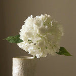 img-2|40cc914b