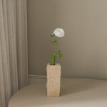 img-1|8080fdc3