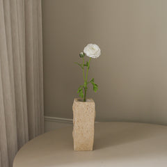 img-1|8080fdc3