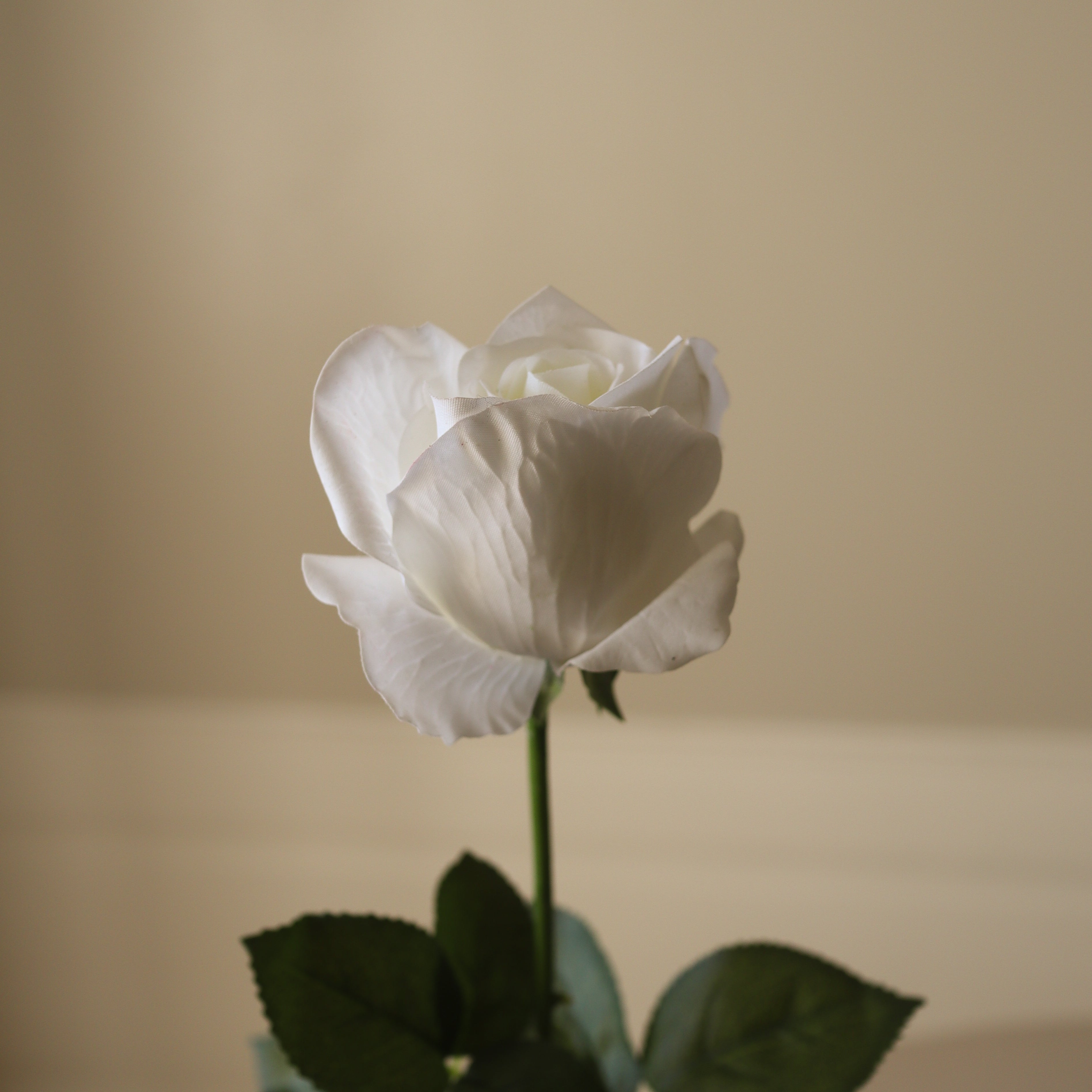 img-2|b3ce2443