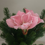 img-2|3182bb91
