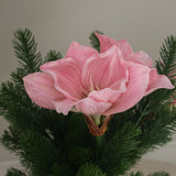 img-2|3182bb91