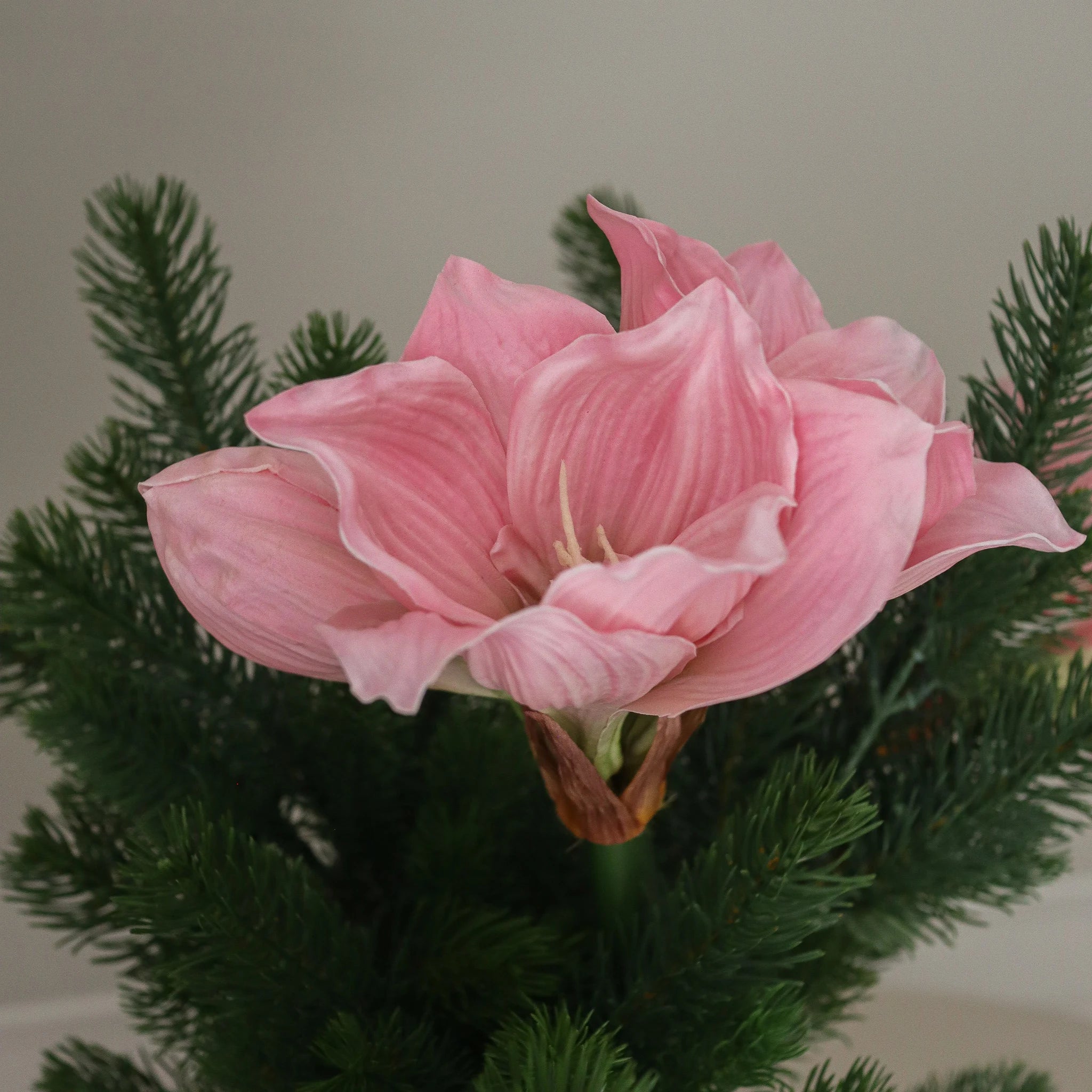 img-2|3182bb91